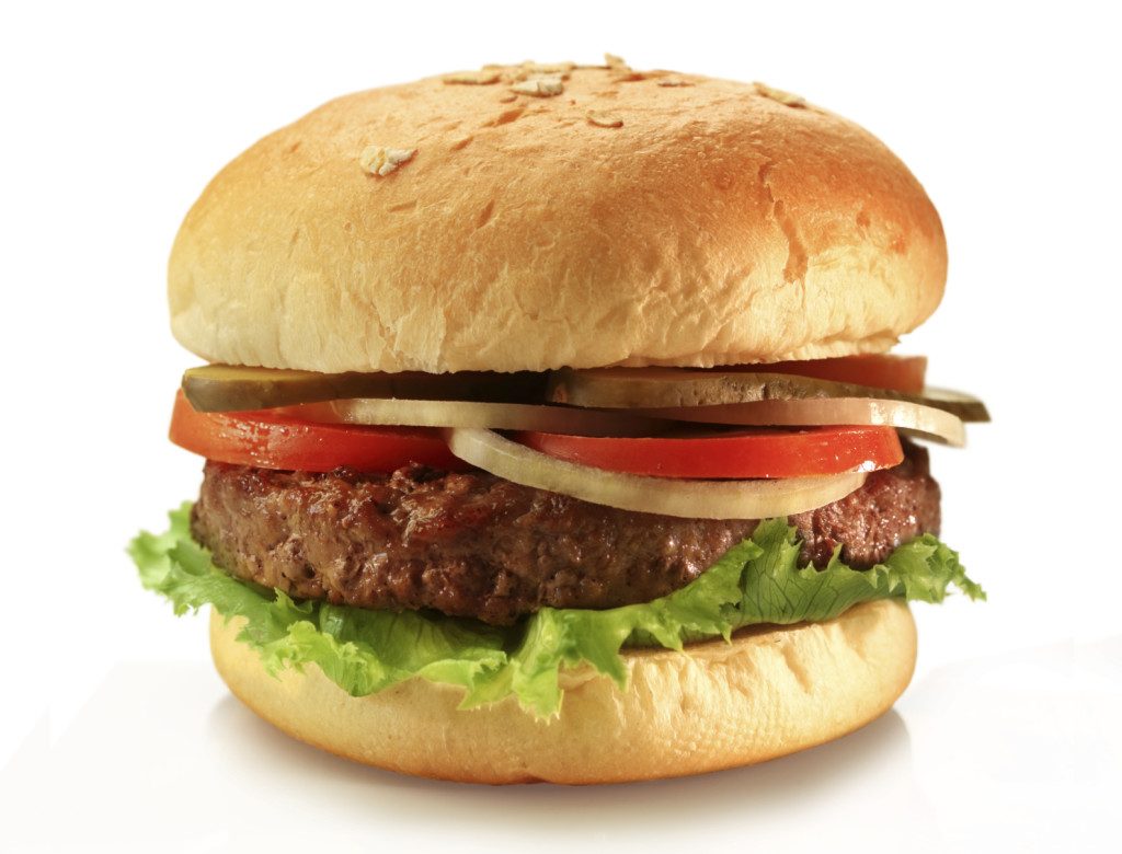 Burger Forming Machine-Manual