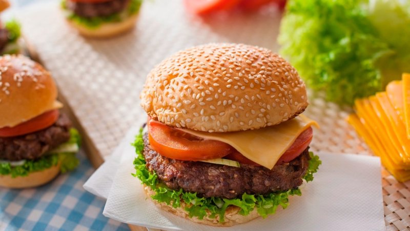 Burger Forming Machine-Manual