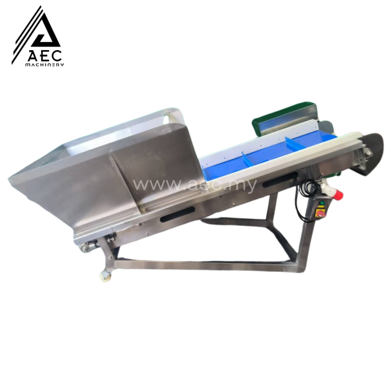 Loading Conveyor-TS220